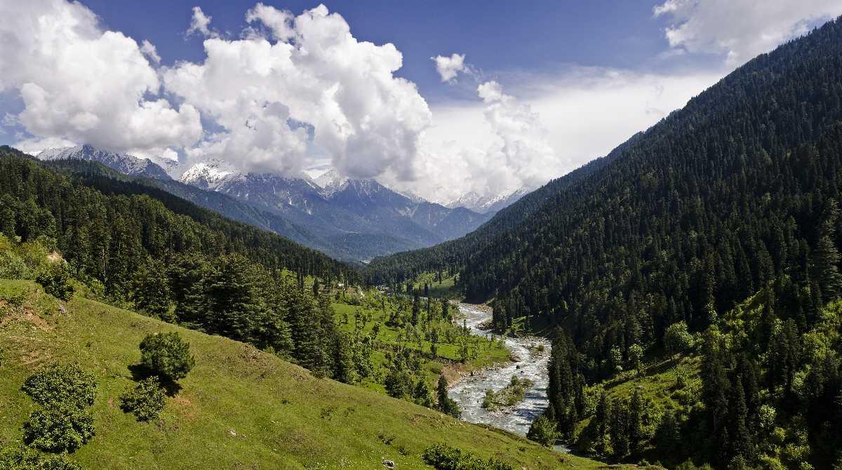 Kashmir Paradise