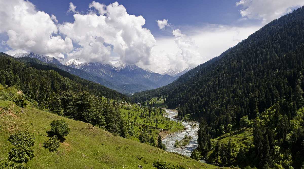 Kashmir Paradise
